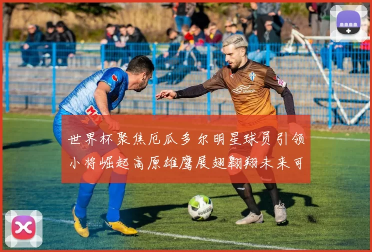 世界杯聚焦厄瓜多尔明星球员引领小将崛起高原雄鹰展翅翱翔未来可期
