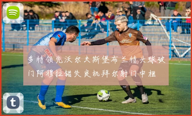 多特领先沃尔夫斯堡布兰特头球破门阿穆拉错失良机拜尔射门中框